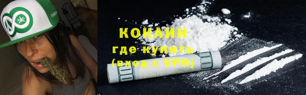дурь Нея