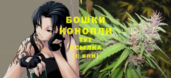 дурь Нея